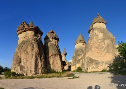 Galeri Küçük Resmi